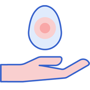 Egg Donation